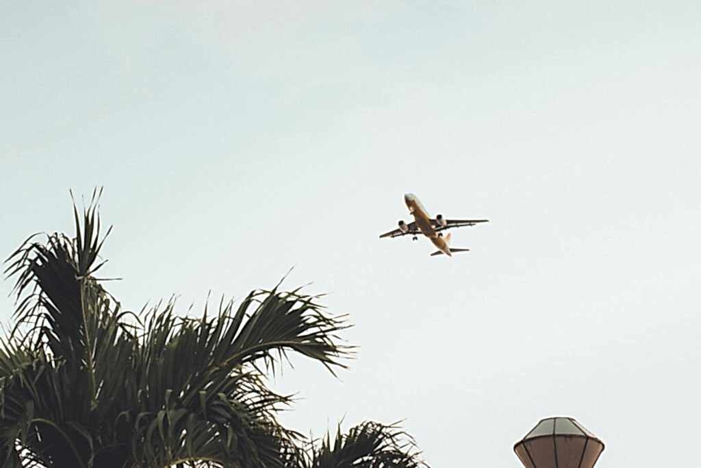 An airplane flies overhead with palm trees in the foreground under a clear sky.
