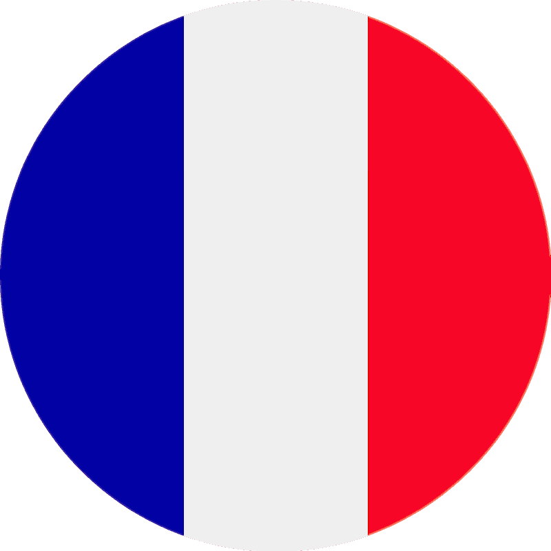 fransız bayrağı
